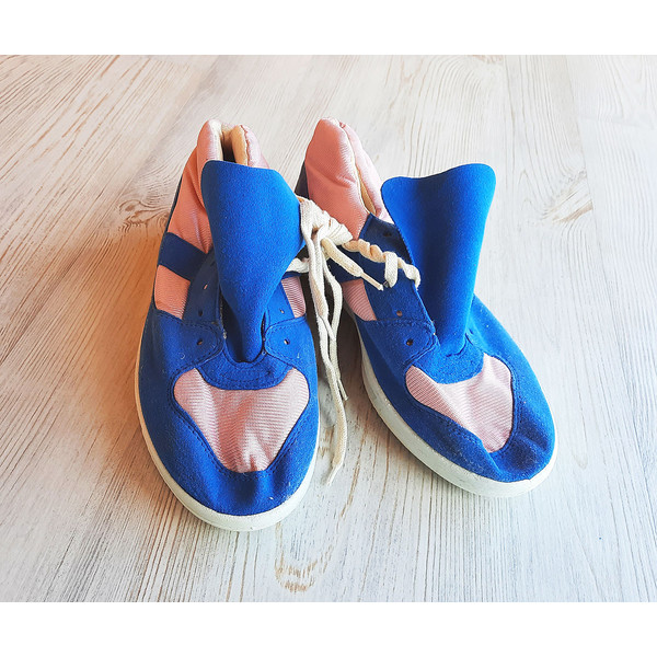 pink_blue_shoes3.jpg