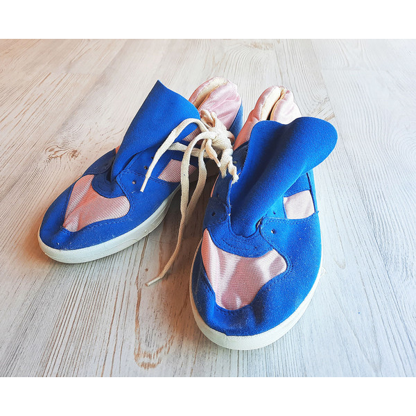 pink_blue_shoes2.jpg