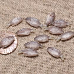 sea fresh fish. miniature fresh fish. miniature dollhouse.