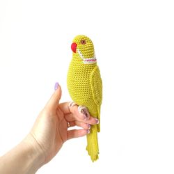 yellow indian ringneck parakeet