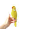 Yellow Indian Ringneck Parakeet.jpeg
