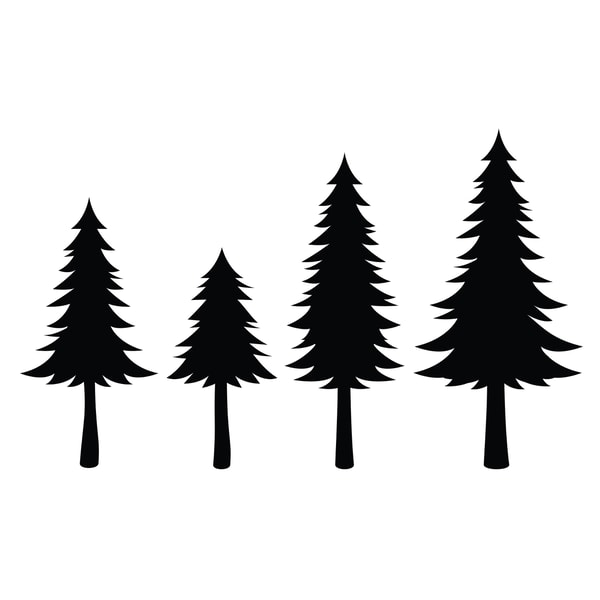 Spruce Silhouette spruce-silhouette