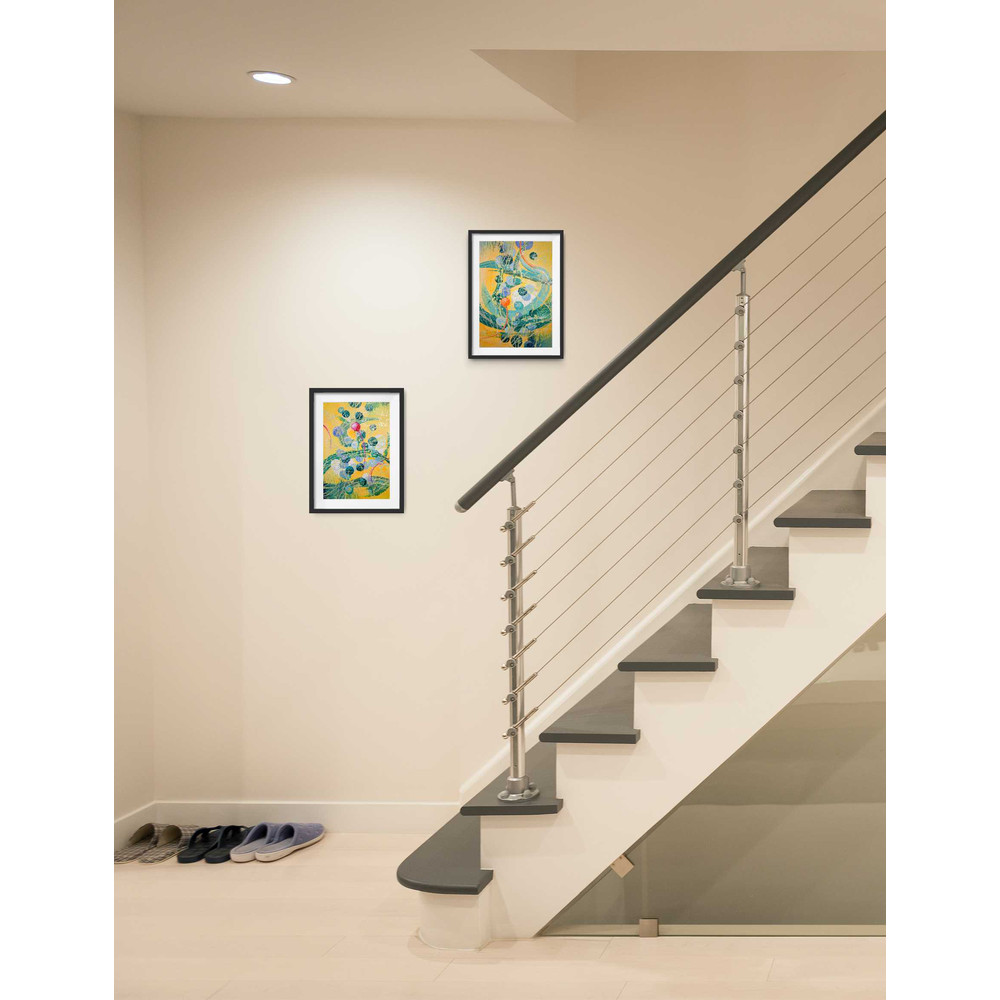 BIRTH OF ORANGE 2+1.jpg