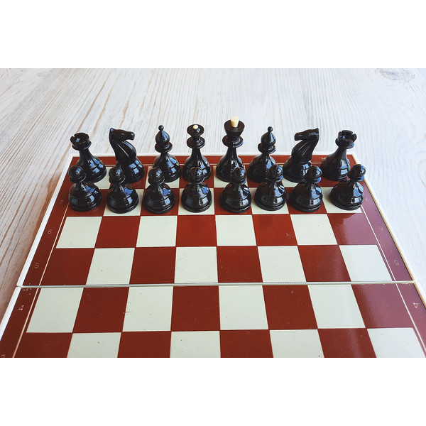 magnet_chess9++++.jpg