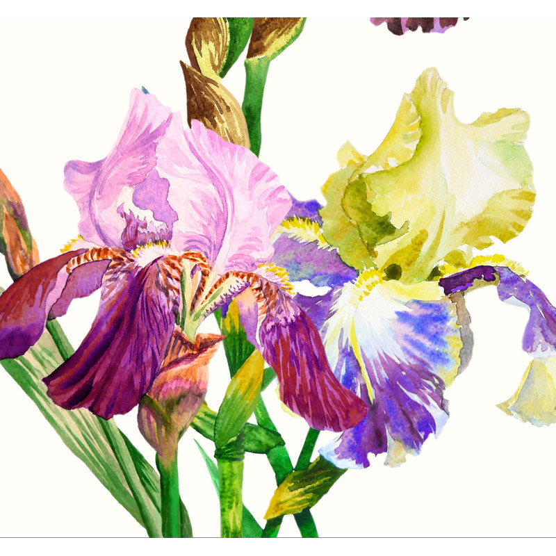 Bouquet with three irises.Cover_2.jpg
