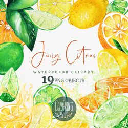 juicy citrus, fruits clipart collection, hand drawn watercolor clipart png