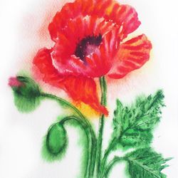 red poppy, watercolor original, flower, floral gift