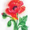 Red Poppy 1.jpg