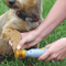 electricpainlesspetnailclipper1.png
