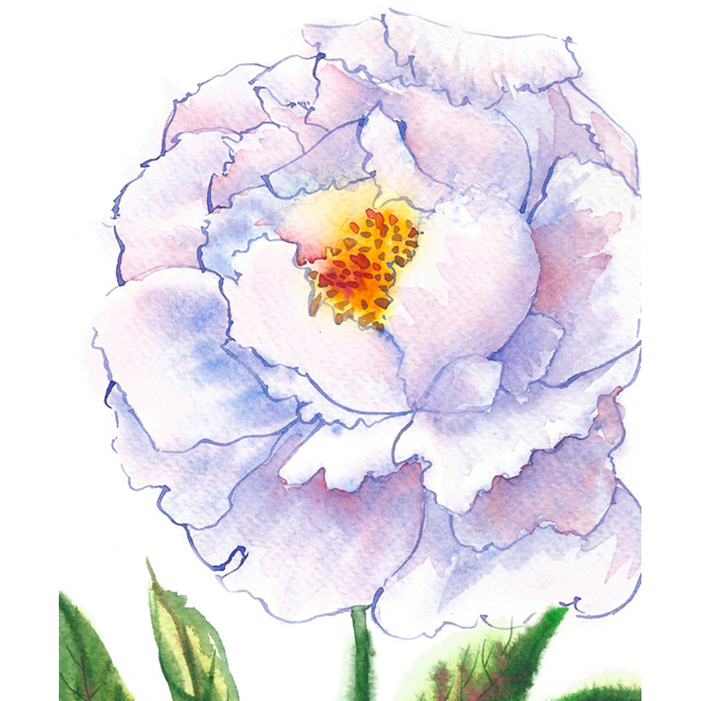 Blue white peony 1.jpg