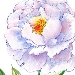 Blue White Peony, Watercolor Original, Flower, floral gift