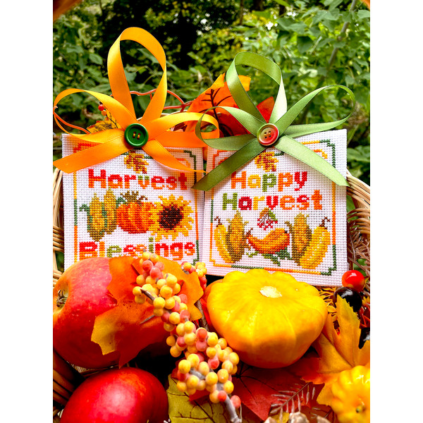 Duo of Thanksgiving ornaments 2.jpg