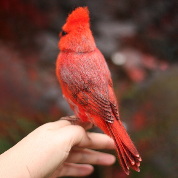 Felted_Red_cardinal_6.jpg