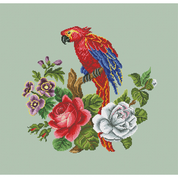 Red parrot 5,3.jpg