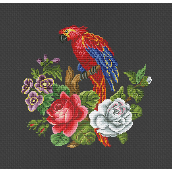 Red parrot 5,4.jpg