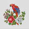 Red parrot 5.1.jpg
