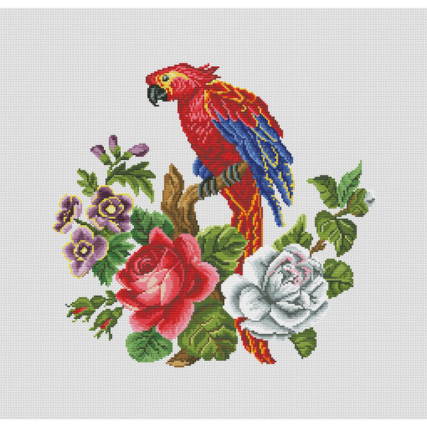 Red parrot 5.1.jpg