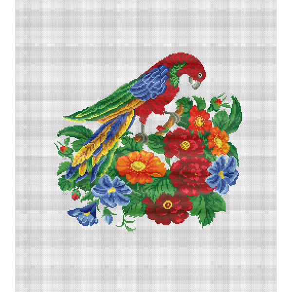 Red Parrot 4.1.jpg