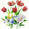 Bouquet with tulips, iris and peony_cover_1.jpg