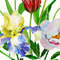 Bouquet with tulips, iris and peony_cover_2.jpg