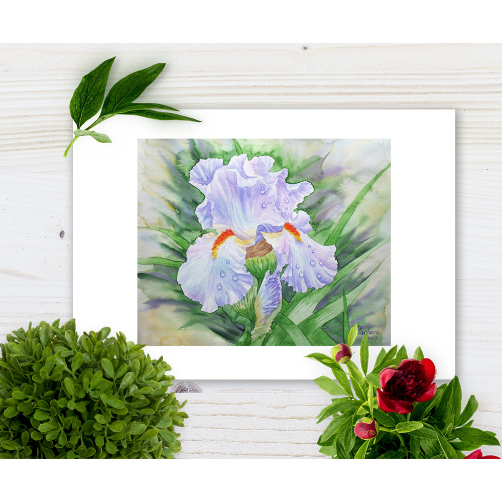 Dew on Light Blue Iris cov 4.jpg