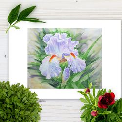 Poster Dew on Light Blue Iris, Watercolor Flowers for gift