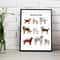 Poster Dogs Sketches Set 2_3.jpg