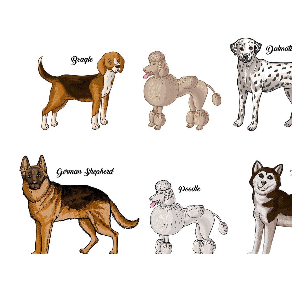 Poster Dogs Sketches Set_3.jpg