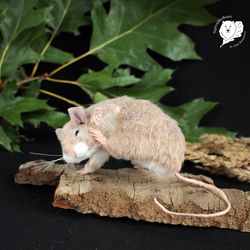 Example item  realistic mouse felt toy pet portrait