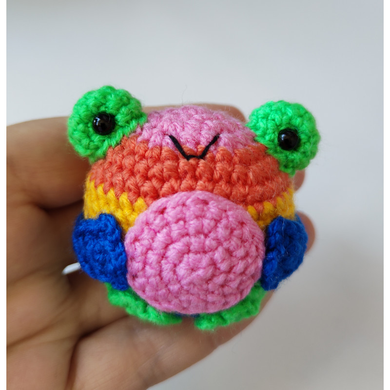 Crochet Rainbow Frog Pattern Frog Plush Crochet Frog Amigurumi Frog Pattern 1