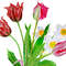 Poster Bouquet of tulips and narcissuses-06 A4 size_3.jpg