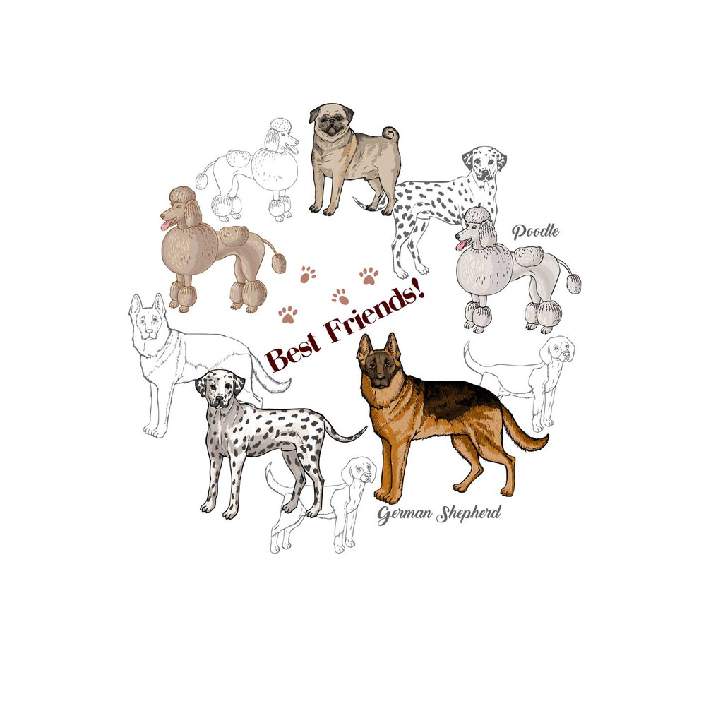 Poster Sketches Back 1_ум.jpg