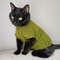 knitted-cat-clothes.jpeg