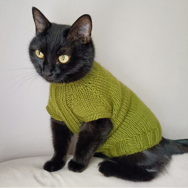 knitted-cat-clothes.jpeg