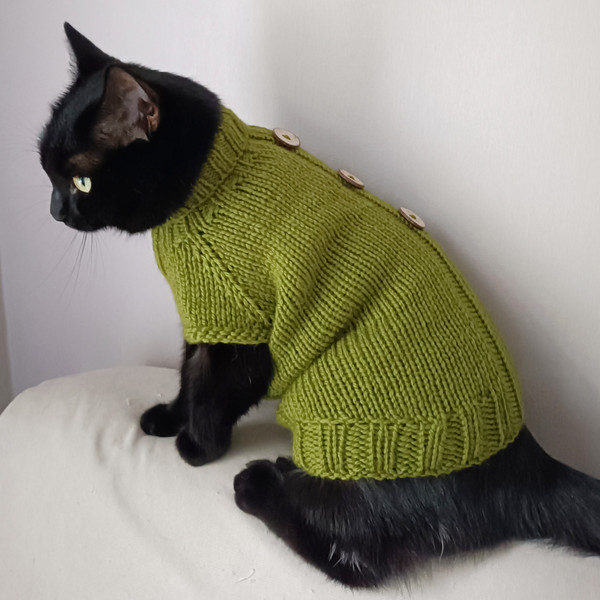 green-cat-sweater.jpeg