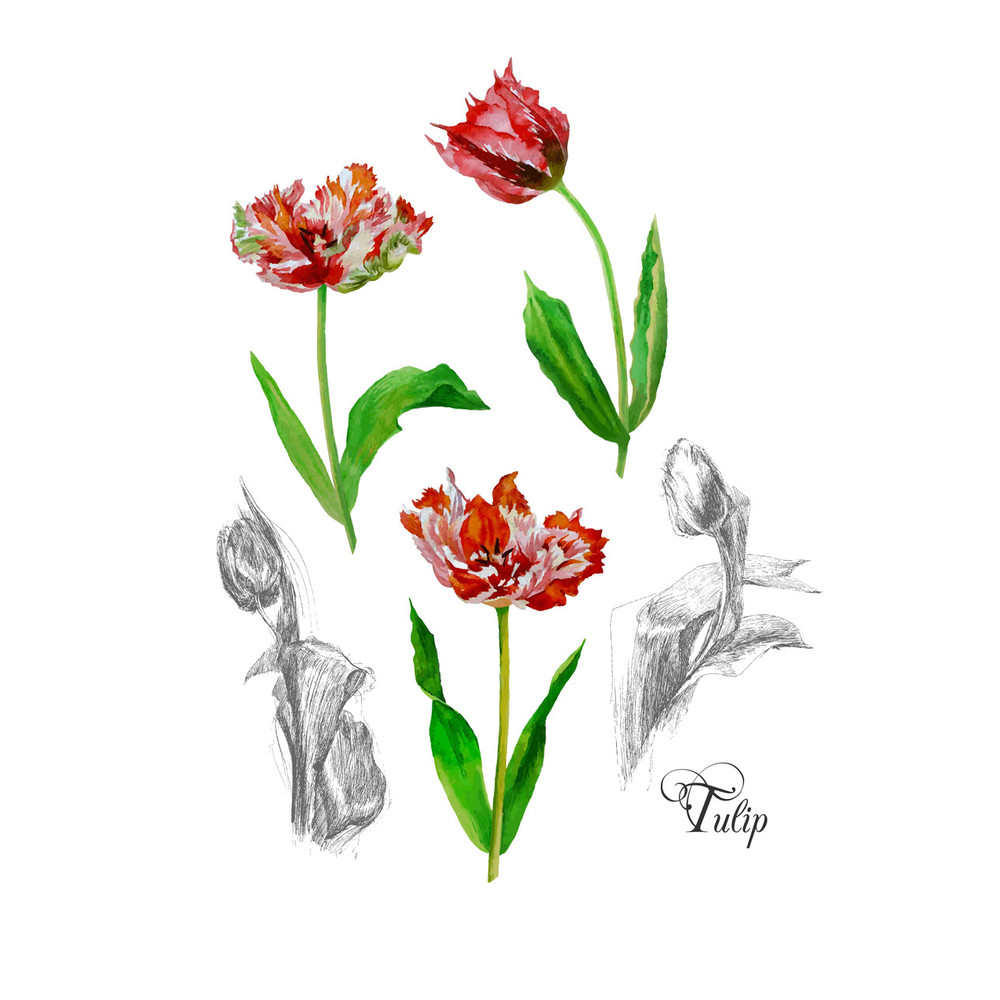 Poster with tulips2-03 A4 size_2.jpg