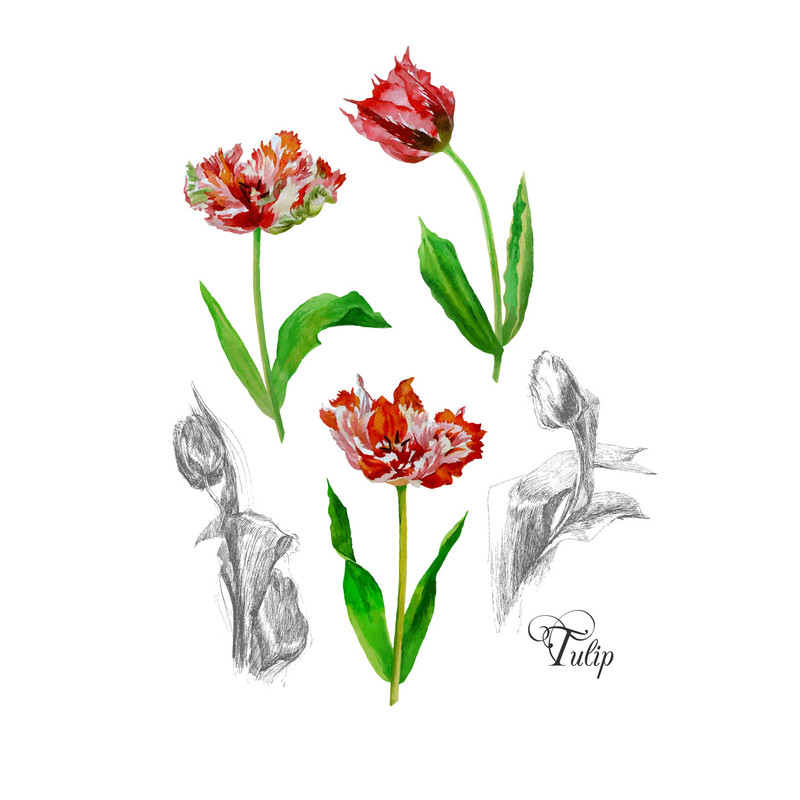 Poster with tulips2-03 A4 size_2.jpg