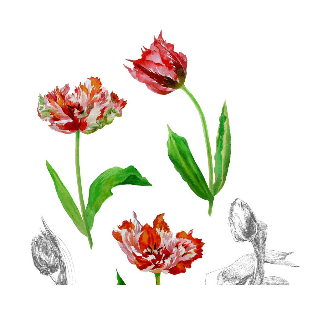 Poster with tulips2-03 A4 size_3.jpg