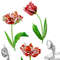 Poster with tulips2-03 A4 size_3.jpg