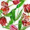 Poster with tulips4-01 A4 size_3.jpg
