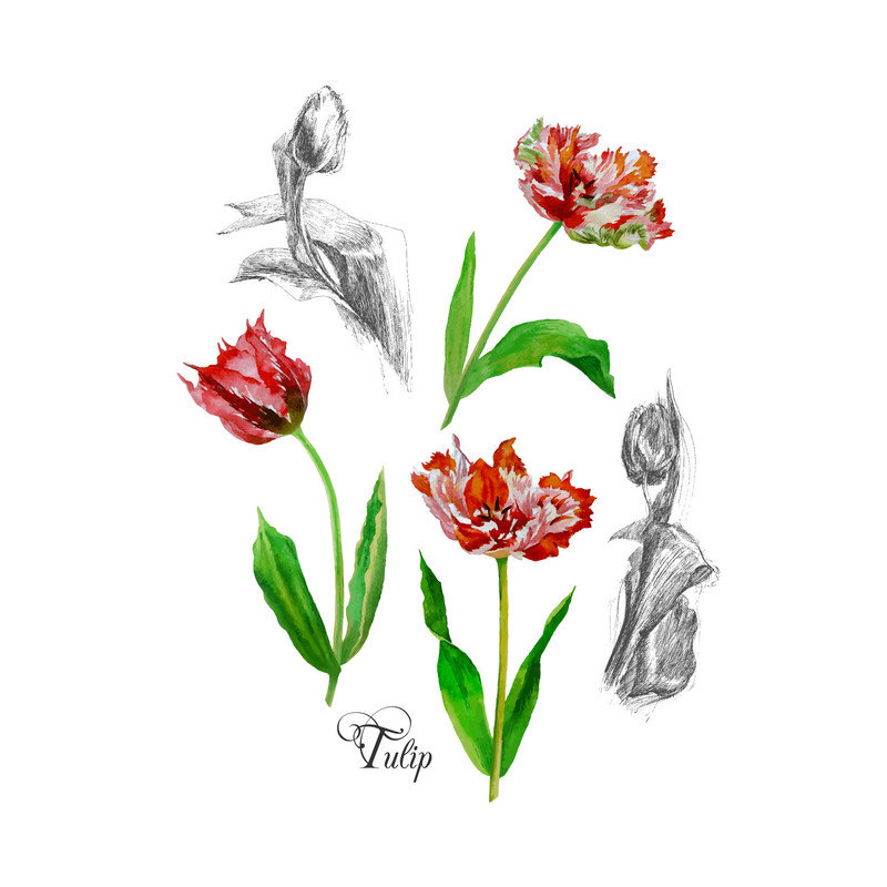 Poster with tulips2-01 A4 size_1.jpg