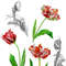 Poster with tulips2-01 A4 size_2.jpg