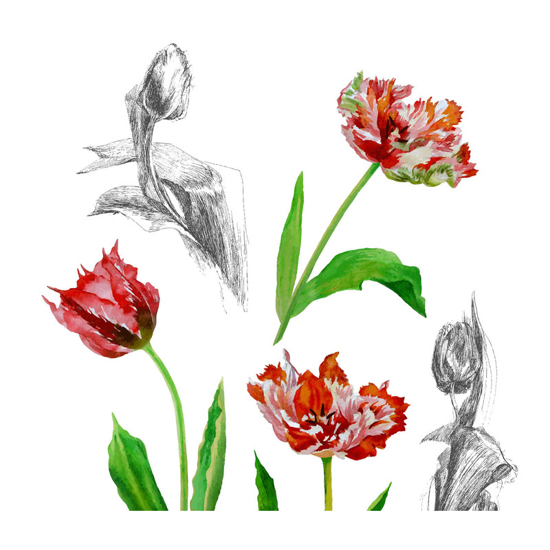 Poster with tulips2-01 A4 size_2.jpg