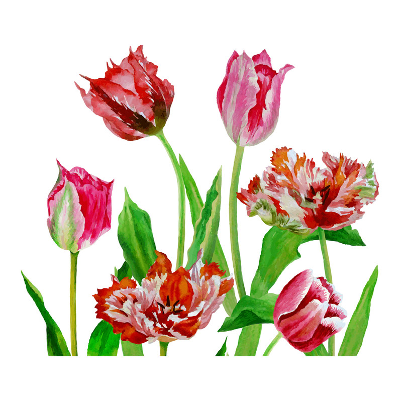 Poster Background with tulips4-031 A4 size_3.jpg