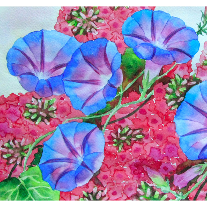 Flowers_in _the_garden 2.jpg