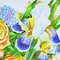Irises Rores_3.jpg
