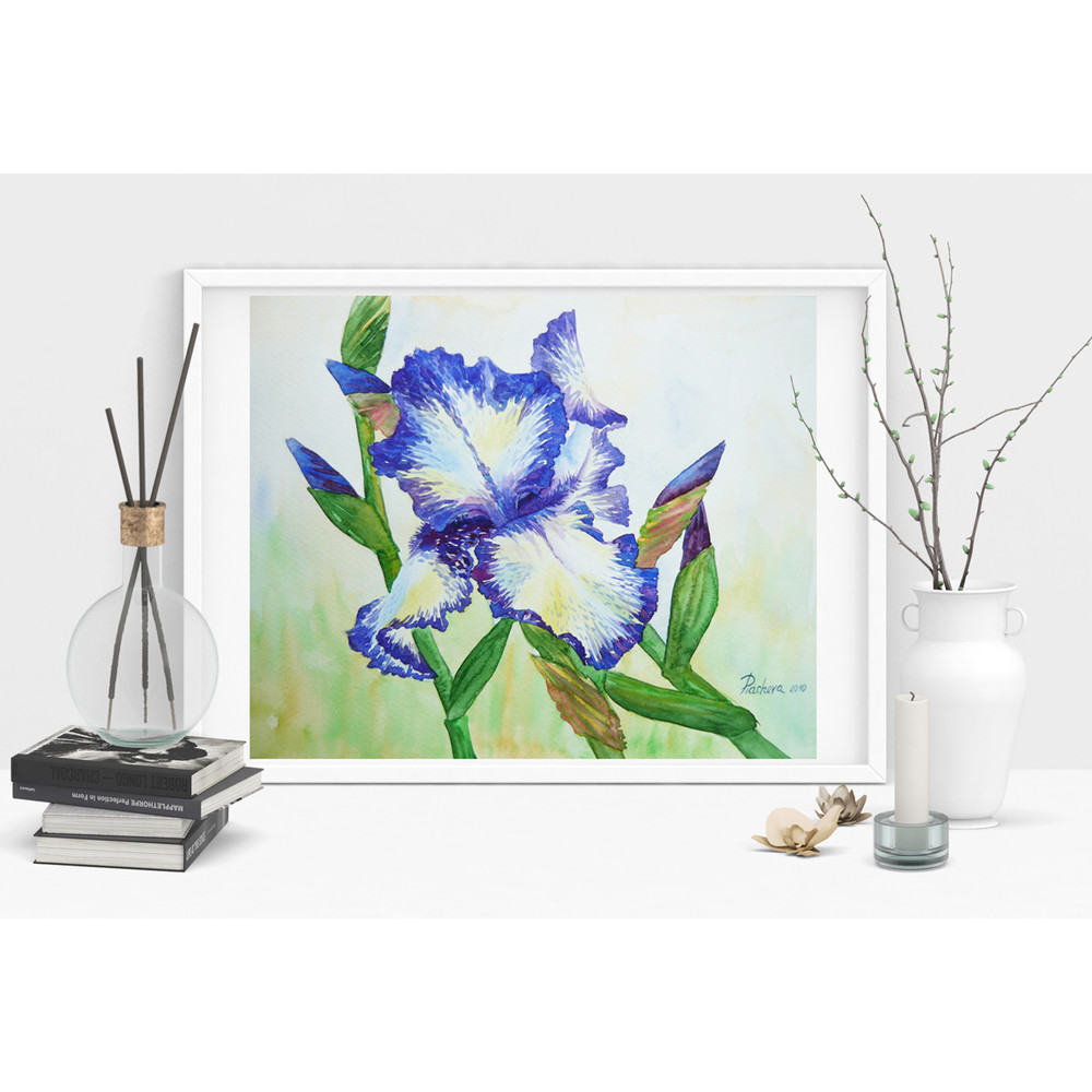 White Blue Iris_29x24_1 3.jpg