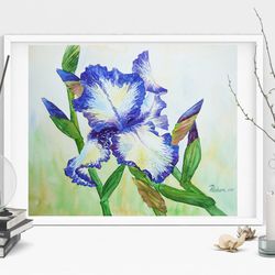 Poster White Blue Iris in the Garden, Watercolor Flowers for Gift