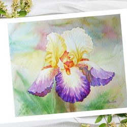 Poster Multi-coloured Iris in the Garden, Watercolor Flowers for Gift