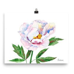 Poster Peony. White and Pink, Watercolor Flowers for Gift